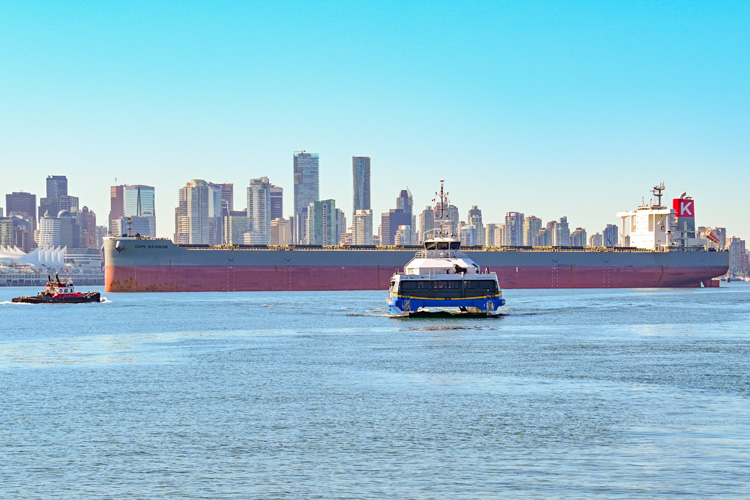 一般納稅人進出口貿(mào)易 一般納稅人進出口貿(mào)易